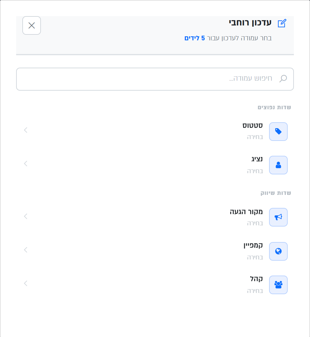 עדכון רוחבי, שלב 1: בחירת העמודה