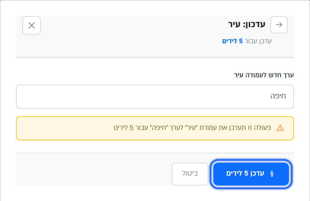 עדכון רוחבי, שלב 2: הערך החדש, הסיכום והכפתור עדכן 5 לידים