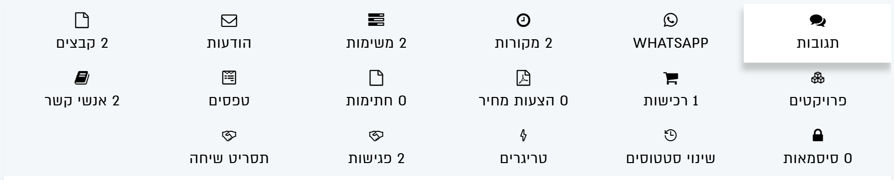 הלשוניות בכרטיס, עם מספר הרשומות בכל אחת