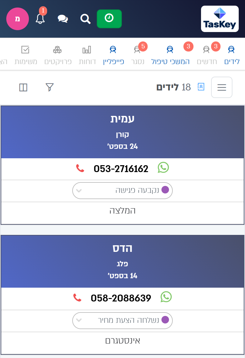 The system in a phone's browser: the leads list